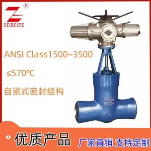 北泽 电厂阀门 高温高压 铬钼钢 焊接 电动电站闸阀 Z960Y