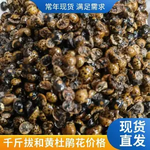 ��ҩ������ǧ��� ���汣������ֱ�� ***��