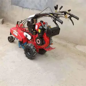 ��԰ʩ�ʿ�����¢�� �ַ�����תʹ�ÿ��������