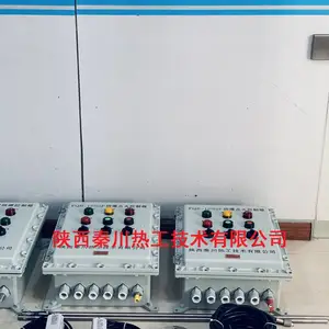 �����ش���ʽ����¯���Ϩ�𱣻�װ��/�Զ�������ϵͳ����