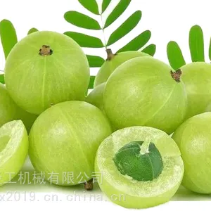 �͸ʹ�ȥ�˻� �͸̹�ȥ�˻� �͸���ȥ�˻� �����ȥ�˻� ���ȥ�˻�