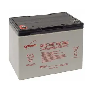 ��������NP33-12FR��ŵ˹genesis���12V33AH