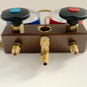REFCO��ʿ������ýѹ������BM2-6-DS-R22 ��9884898��