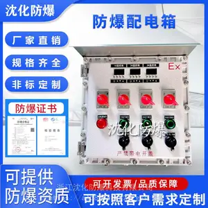 防爆配电箱 户外照明动力插座配电柜 IP65仪表显示控制温控箱