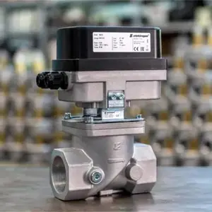 ȫ��ELEKTROGAS��ŷ�
