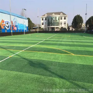 ��׼ٷ���� �����ֳ���������� ��ѧ�ٳ��ٲ�ƺ