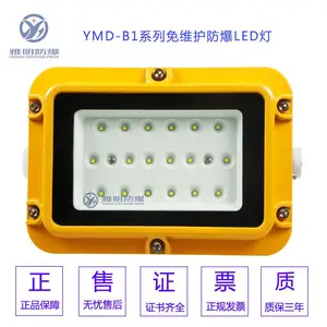 40Wled防爆灯 防爆LED投光灯40W 防爆LED吸顶灯40W