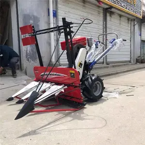 ǰ�����ײݷ�Ƭ�� ΢�ʹ󶹸�ɹ�� ���׸����ַ��ո��