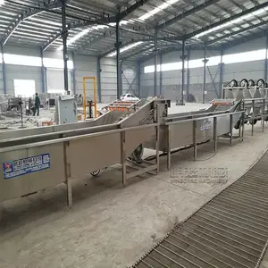 春季吃秋葵秋葵清洗漂烫风干速冻流水线可到厂房实地考察研究技术方案