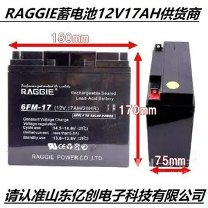 RAGGIE蓄电池6FM-17 12V17AH/20HR太阳能UPS/EPS直流屏配套营销中心