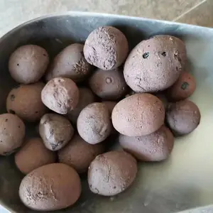�㽭������������ ������������� ��ǿ������ ԰������