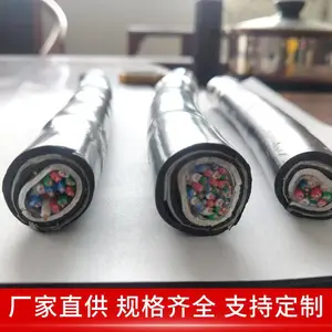 PTYL23��װ��������·�źŵ��� 4*1.0 ��Ͳ ����ϵͳ�� ��ɹ��ˮ