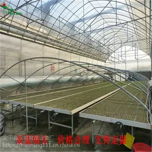 温室移动苗床 整体育苗床特点