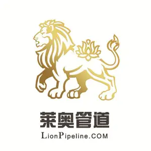 沧州莱奥科技有限公司