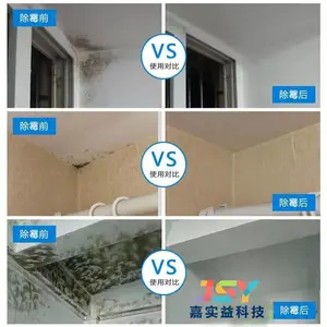 广州黄埔除霉公司 墙面除霉快速快复白墙 全屋家具除霉防霉