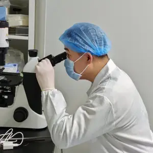 外周血B细胞永生化服务 瑾萱生物 Cell Immortalization