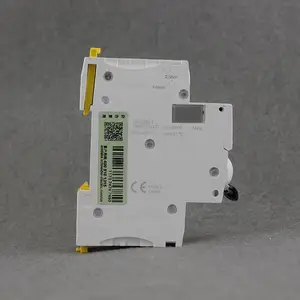 ʩ�͵�С�Ͷ�·��IC65N 2P D32A-(A9F19232)΢��