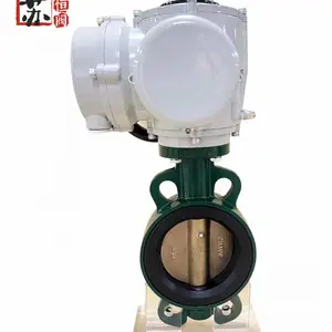 D943H-25 DN400Ӳ�ܷ�綯��ƫ�ĵ���