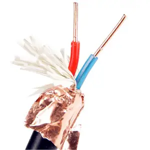 ˫�����μ��������DJYPVRP-1*3*1.5mm2�Ǳ�����