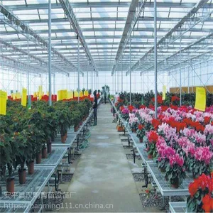 安平汉明花卉苗床，即将亮相2019昆明国际花卉展,邀您参加