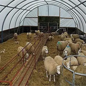 百香果连体棚十堰茅箭葡萄避雨棚