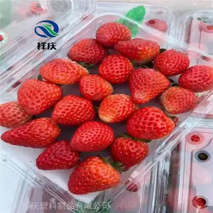 ˮ���������Ϻ� ����ʽPET���Ϻ� һ�������Ϻ��������� �ӱ�����