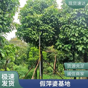 ��Ƽ�Ź����ȫ�㶫�����л��ز��ؼ۸����۸���˳ɻ�***��Ƽ��