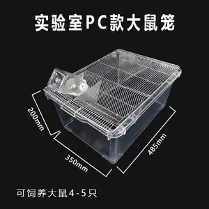 SS4������pc����ȫ͸��ʵ������������