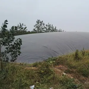 ũ����ֳ250KW��ˮ��***�巢��� ������ˮ�������繤��