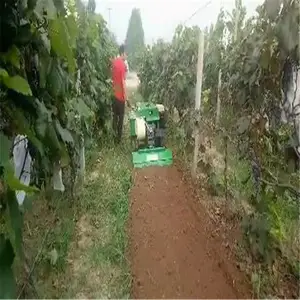�Ĵ�������������չ������ʩ��һ������������Ĵ�����ʽ������