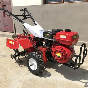 11�������ͻ������� ������ �����ȶ� 186������ʽ������ ���