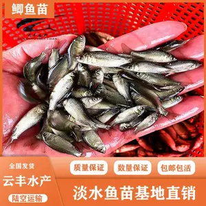 ���������� ������ˮ�� �Ʒ���ֳ��������Ӧ �п�����������