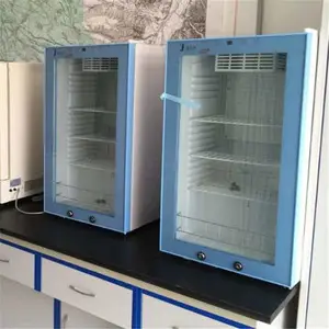 ʵ���Һ���չʾ��800-1000��