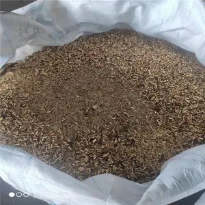 ��п���� �����ѹܻ���