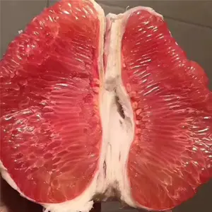 ����5 6 7���ֺ�Ƥ���������绶ӭ����