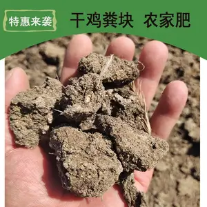 鲍氏鸡粪块 鸡屎干蔬菜作物使用肥厂全国发货