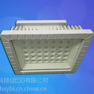 ������100W����Ͷ��糧����100WLED����Ͷ���