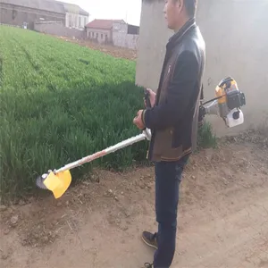 ��԰��ݻ� ����ʽ��ݻ���Ƶ һ�ֵ���ݻ� ����