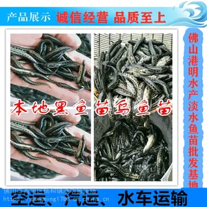 ��ũҵˮ�������������㶫��Զ���糡������ �������� �����˲������� ������