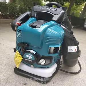 ���ͱ���ʽ������ ����ʽ·����������� ����·��ʯ��������
