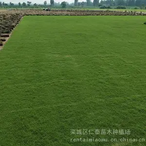 ���������β���� ����é��Ƥ �����ܻ��� ��������ƺ Ұ�����