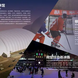 娱乐滑冰场的承建和安装