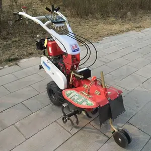 ��Ʒֱ�����Ϳ����� С���ַ������� ��ֲ������ֻ�