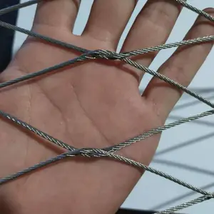 ��̩ �������������ֿ�����׹����������