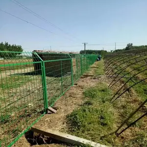 ˶����ֳ������ ���ط��������� ����������˿������