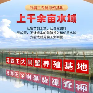 苏州阳澄湖蟹老板蟹业有限公司