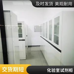 靖西县实验室药品柜-通风药品柜-带双锁管理药品柜-广西药品柜现货销售