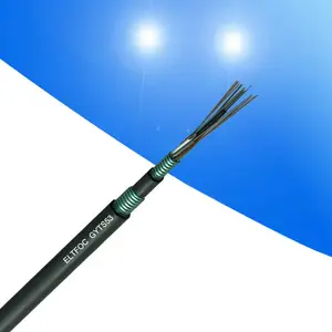 ELT12о��ģֱ��ʽ�ִ�����GYTS53����ֱ��