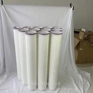 40寸颇尔大流量水滤芯 电厂专用