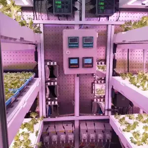 植物育苗育种工厂 植物种植 植物育苗 植物温室 贝塔农业